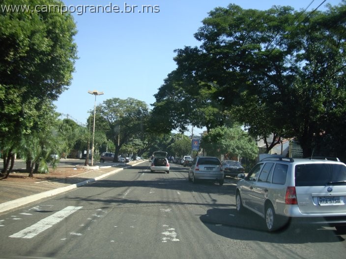 w.pantanal.br.ms-18.jpg