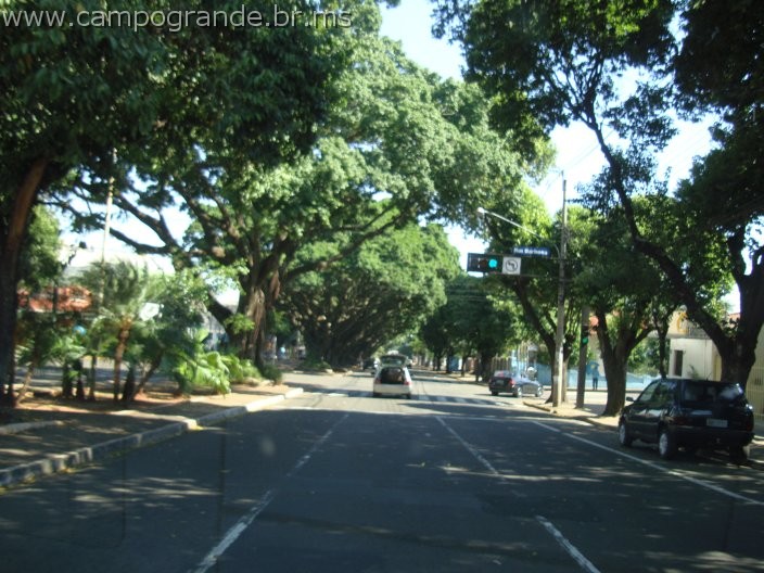 w.pantanal.br.ms-19.jpg