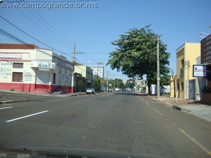 w.pantanal.br.ms-31.jpg