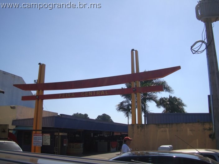 w.pantanal.br.ms-55.jpg