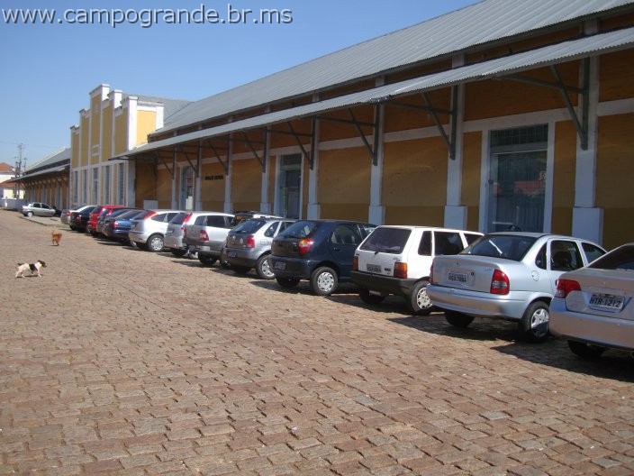 w.pantanal.br.ms-56.jpg