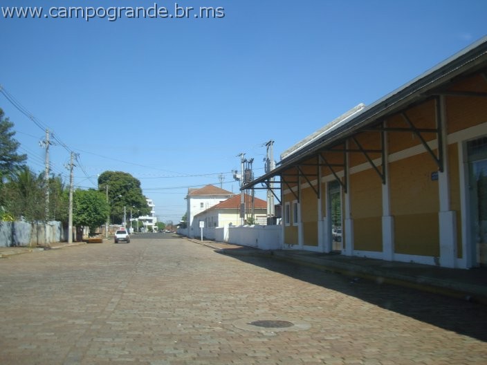 w.pantanal.br.ms-61.jpg