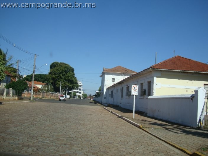 w.pantanal.br.ms-62.jpg