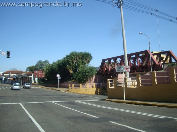 w.pantanal.br.ms-72.jpg