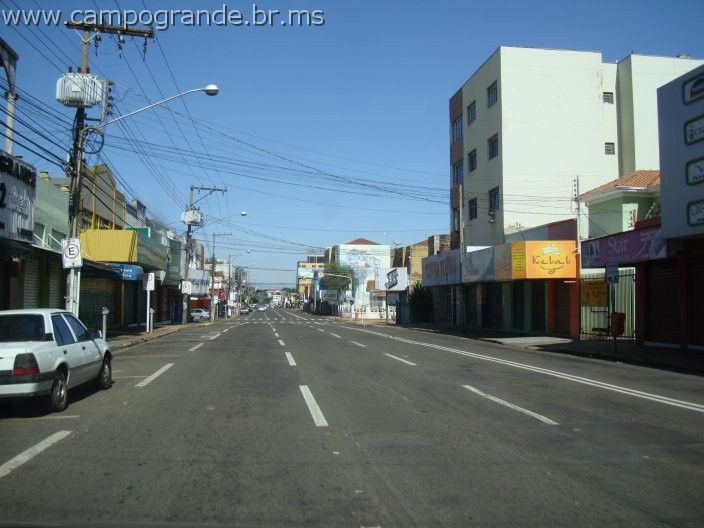 w.pantanal.br.ms-77.jpg