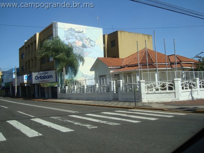 w.pantanal.br.ms-78.jpg