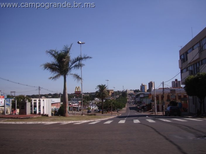 w.pantanal.br.ms-82.jpg