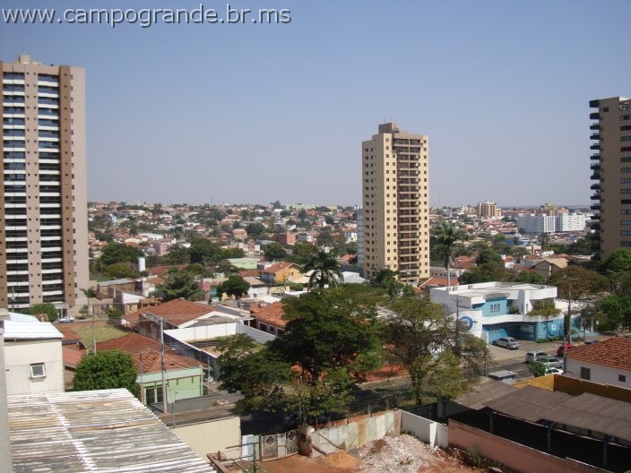 w.pantanal.br.ms-105.jpg