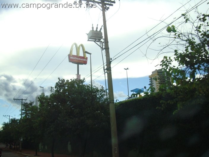 w.pantanal.br.ms-14.jpg