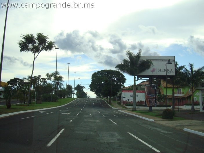 w.pantanal.br.ms-18.jpg
