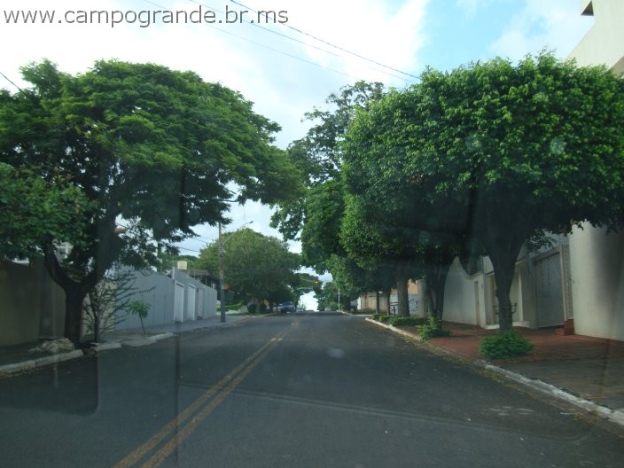 w.pantanal.br.ms-23.jpg