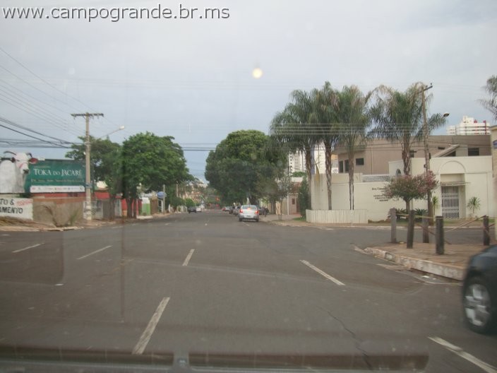 w.pantanal.br.ms-27.jpg