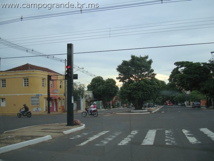 w.pantanal.br.ms-42.jpg