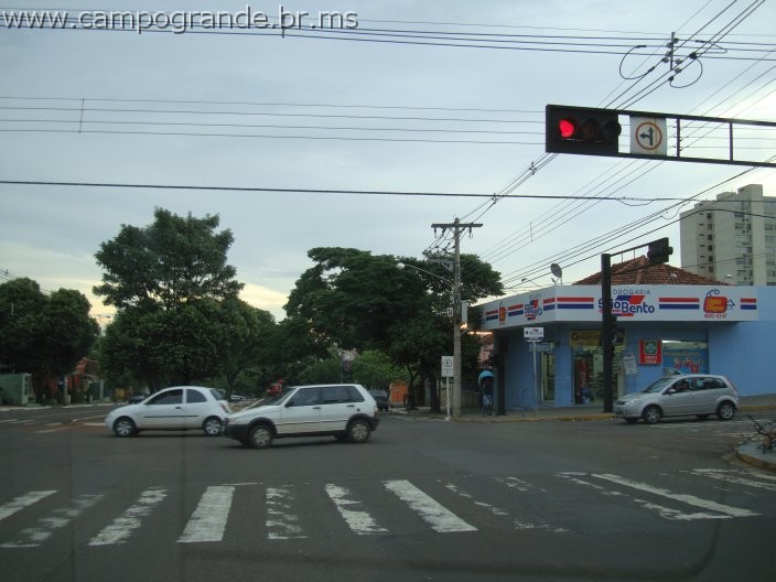 w.pantanal.br.ms-43.jpg