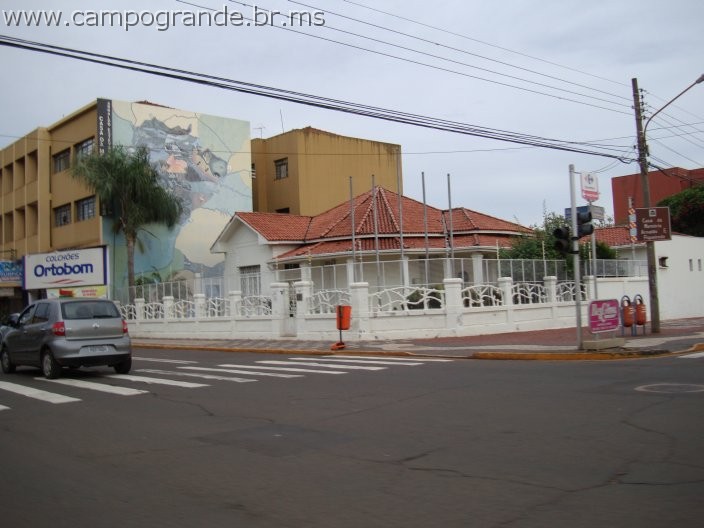 w.pantanal.br.ms-62.jpg