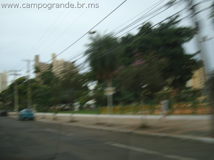 w.pantanal.br.ms-71.jpg