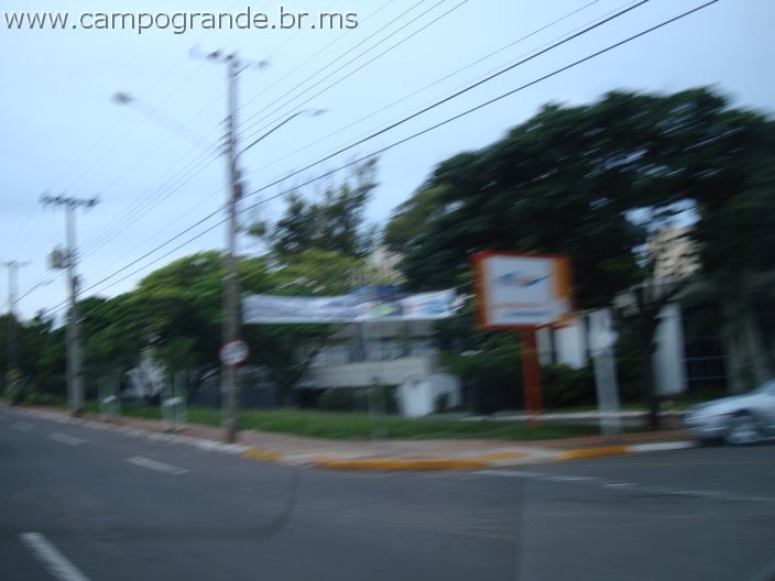 w.pantanal.br.ms-78.jpg