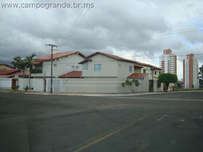 w.pantanal.br.ms-89.jpg