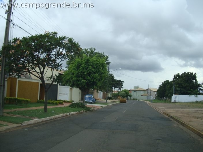 w.pantanal.br.ms-90.jpg