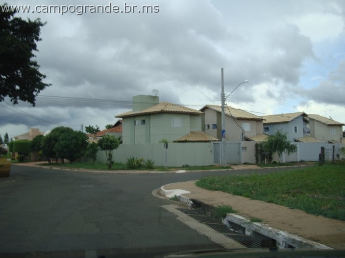 w.pantanal.br.ms-91.jpg