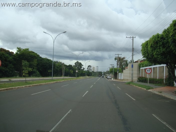 w.pantanal.br.ms-95.jpg