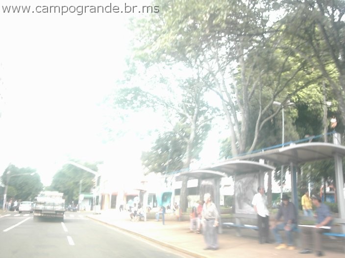 w.pantanal.br.ms-142.jpg