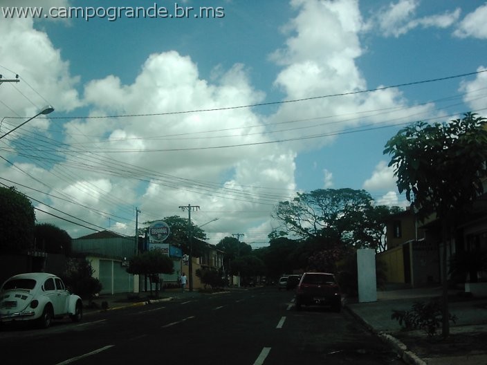 w.pantanal.br.ms-163.jpg