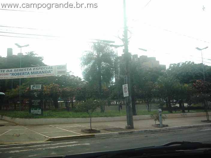 w.pantanal.br.ms-30.jpg