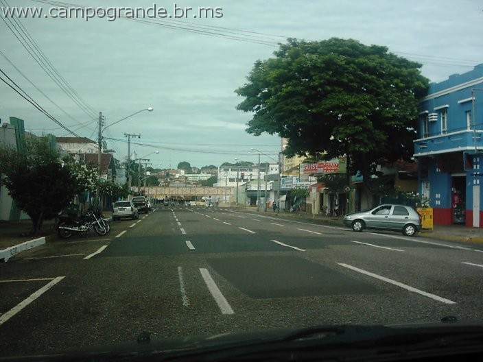 w.pantanal.br.ms-75.jpg