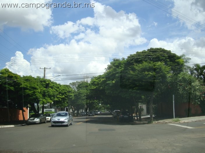 w.pantanal.br.ms-108.jpg