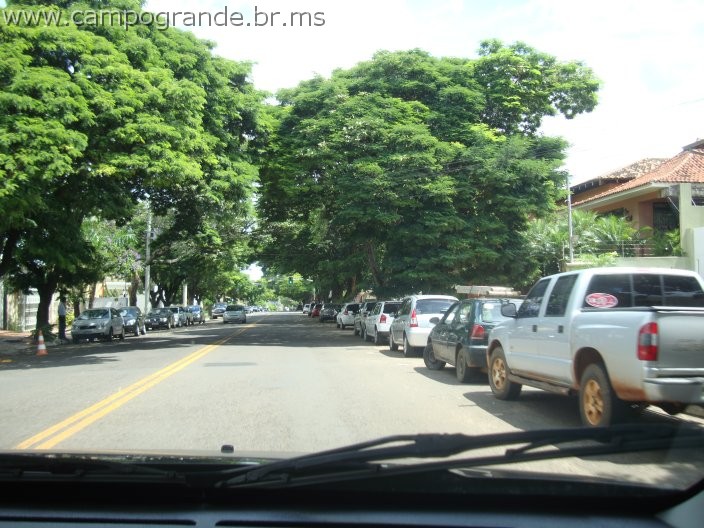 w.pantanal.br.ms-109.jpg