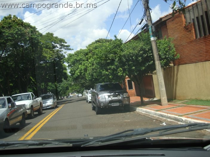 w.pantanal.br.ms-113.jpg