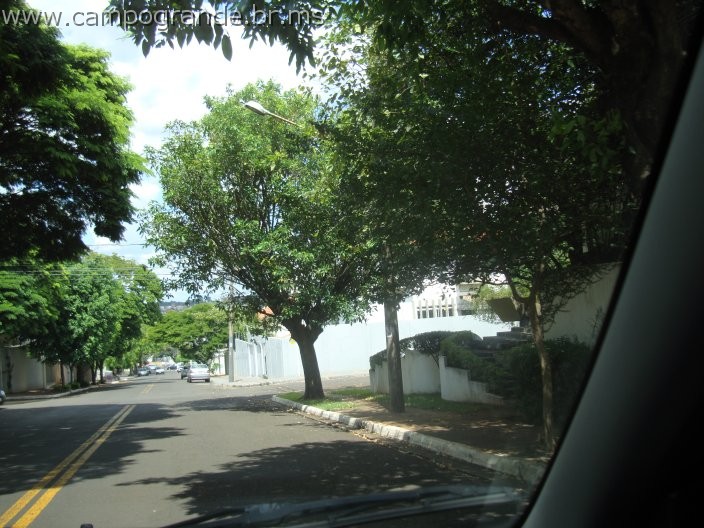 w.pantanal.br.ms-114.jpg