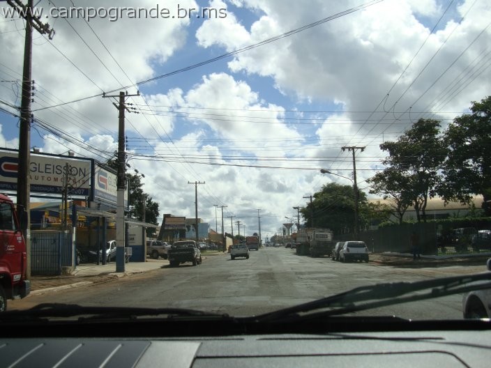 w.pantanal.br.ms-16.jpg