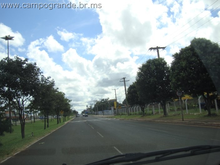 w.pantanal.br.ms-36.jpg