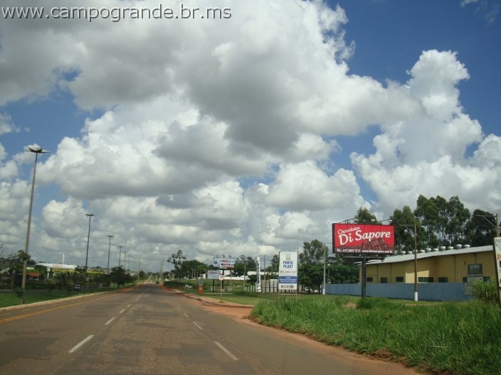 w.pantanal.br.ms-48.jpg