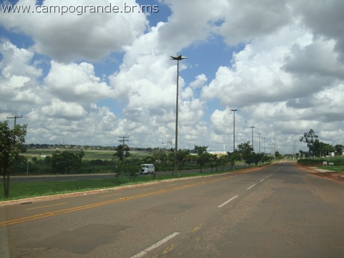 w.pantanal.br.ms-49.jpg