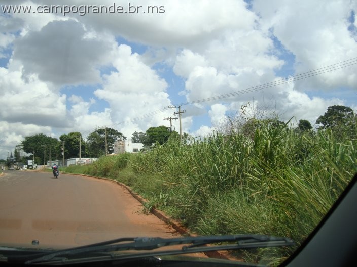 w.pantanal.br.ms-54.jpg