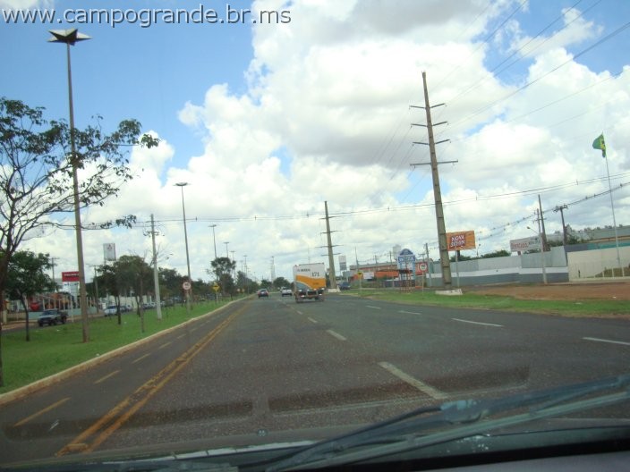 w.pantanal.br.ms-60.jpg