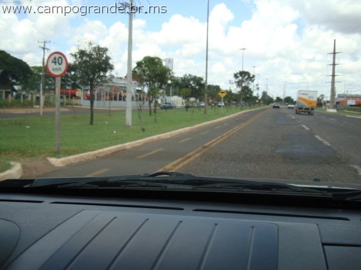 w.pantanal.br.ms-61.jpg
