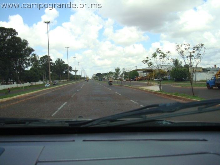 w.pantanal.br.ms-66.jpg