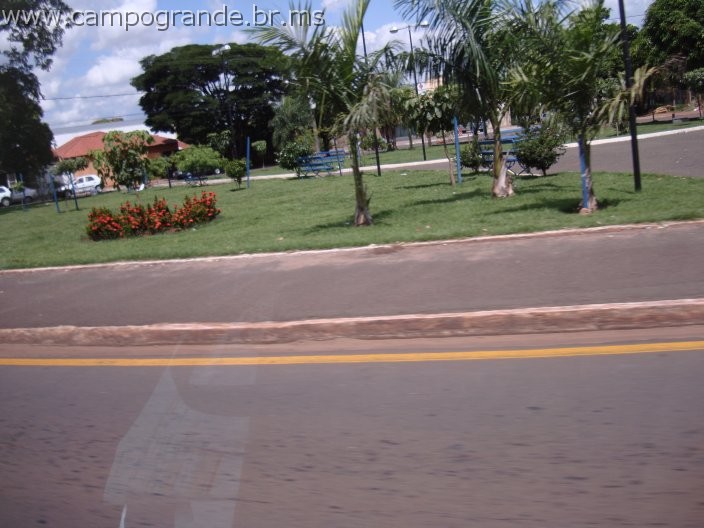 w.pantanal.br.ms-73.jpg