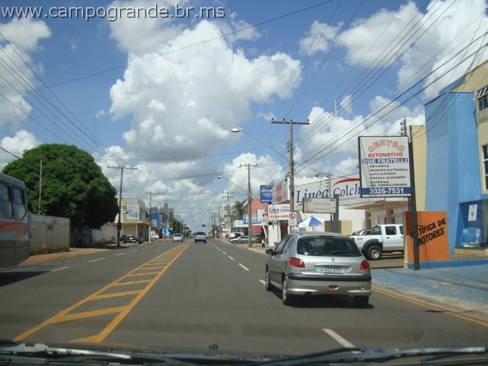 w.pantanal.br.ms-79.jpg