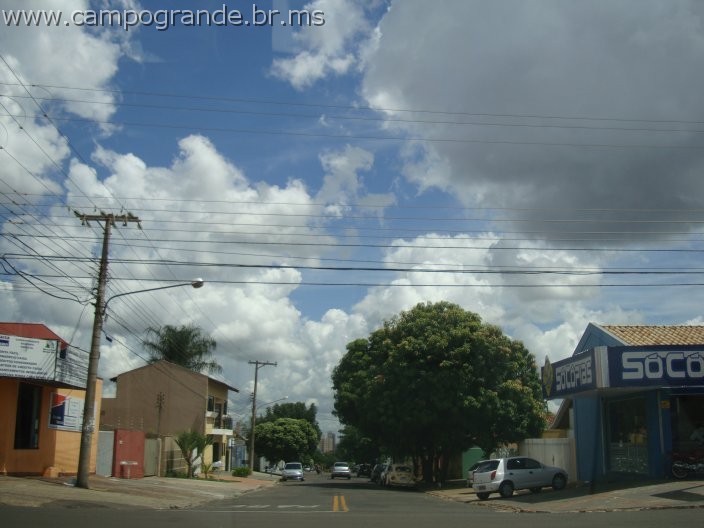 w.pantanal.br.ms-89.jpg