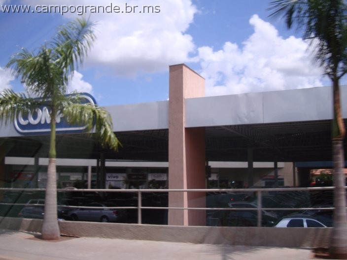 w.pantanal.br.ms-95.jpg