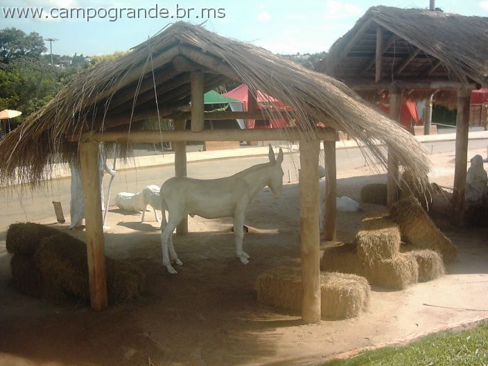 w.pantanal.br.ms.027.jpg