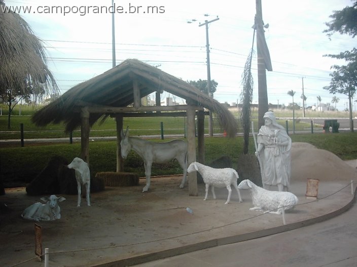 w.pantanal.br.ms.049.jpg