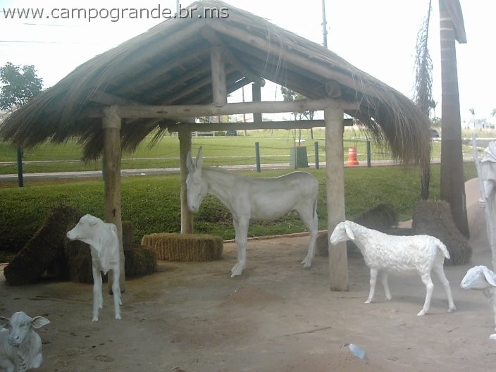 w.pantanal.br.ms.050.jpg
