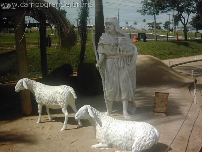 w.pantanal.br.ms.051.jpg