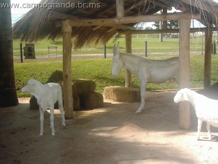w.pantanal.br.ms.052.jpg